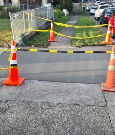 Vehicle-Crossings- 46